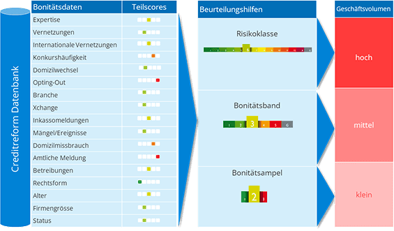 Credit Report Dashboard